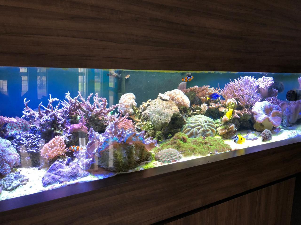 Acalantus Hotel Goiânia Kültér fotó